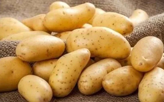 Badadez — Kıbrıs ağzında Patates | NedirBeo